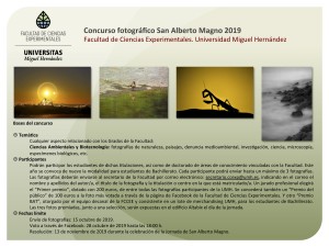 Concurso Fotográfico S. Alberto Magno 2019.ppt